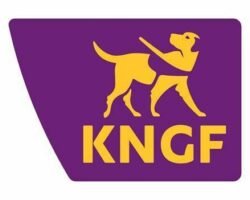 Logo KNGF onze site
