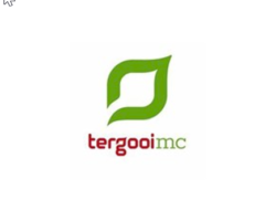 Logo Tergooi nog iets groter