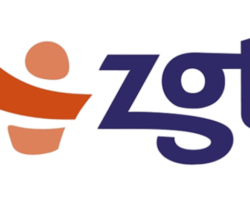 Logo ZGT groot formaat onzichtbare achtergrond