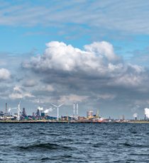 Adobe Stock 591446108