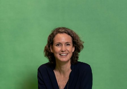 Bc 31 01 compressed 2