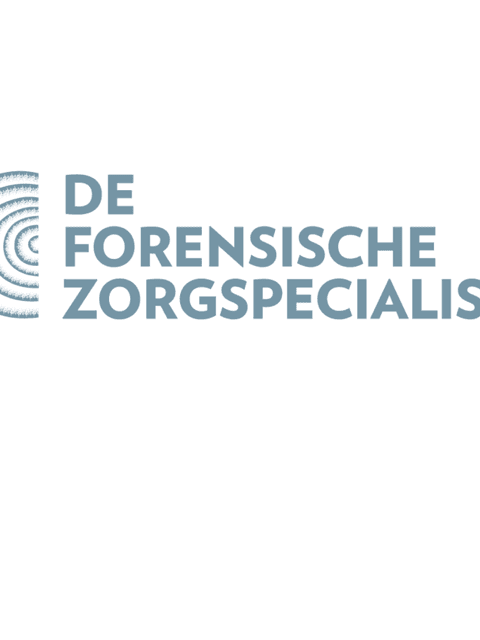 Logo dfzs 2